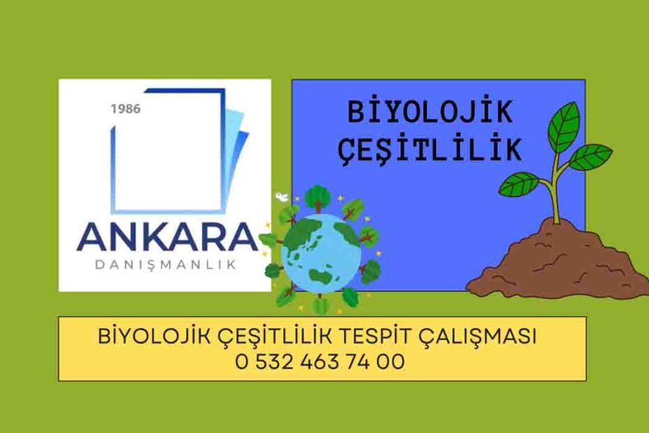 Türkiye Biyolojik Çeşitlilik Tespit Çalışması